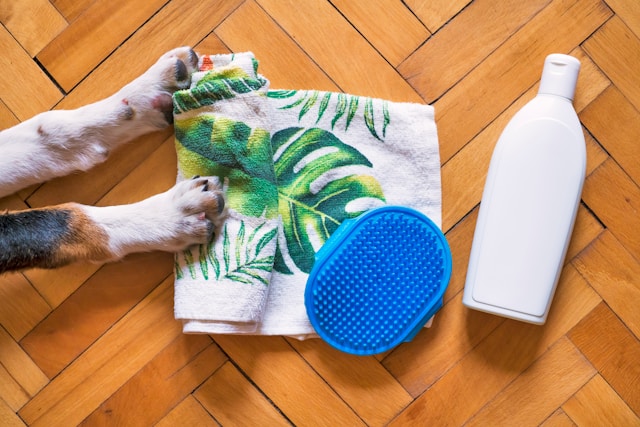 Dog care items arranged on wooden floor beside a dog’s front paws and grooming brush.