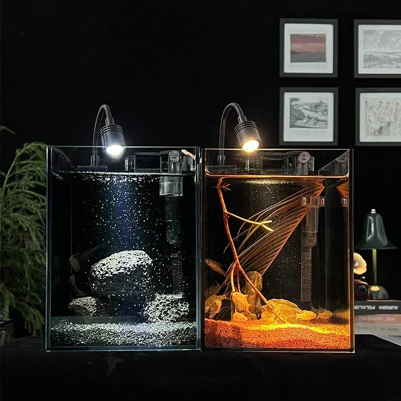 Two side-by-side aquariums: one natural freshwater tank and one decorative desert-style terrarium with lighting.