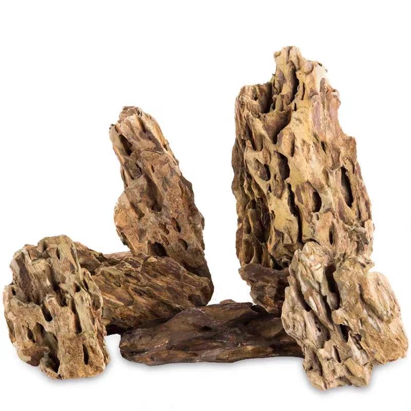 Three pieces of textured driftwood arranged upright against a plain background.