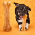 Bones & Bully Sticks
