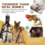 Large Dog Chew Toys Tougher than Real Bones -  Toy Squeaky Solve Boredom Teeth Separation Anxiety - Image 3