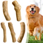 Wooden Teeth Cleaning Stick Sturdy Dog Chewing