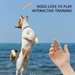 Durable Coffee Wood Chew Stick for Dogs - Natural Anxiety Relief & Teeth Cleaning Pet Toy - Image 3
