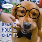 Dog Chew Toys - Dog Toys for Aggressive Chewers - Image 4