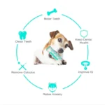1PCS Dog Dental Chew Toys for Teeth Cleaning Puppy Teething Sticks & Chewable Bone - Image 3