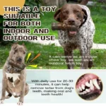Large Dog Chew Toys Tougher than Real Bones -  Toy Squeaky Solve Boredom Teeth Separation Anxiety - Image 6