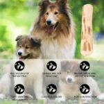 Durable Coffee Wood Chew Stick for Dogs - Natural Anxiety Relief & Teeth Cleaning Pet Toy - Image 2