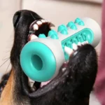 1PCS Dog Dental Chew Toys for Teeth Cleaning Puppy Teething Sticks & Chewable Bone - Image 6