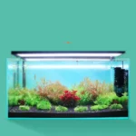 Qanvee Electric Water Sponge USB Purifier Biological Oxygen Fish Tank Filter - Image 2