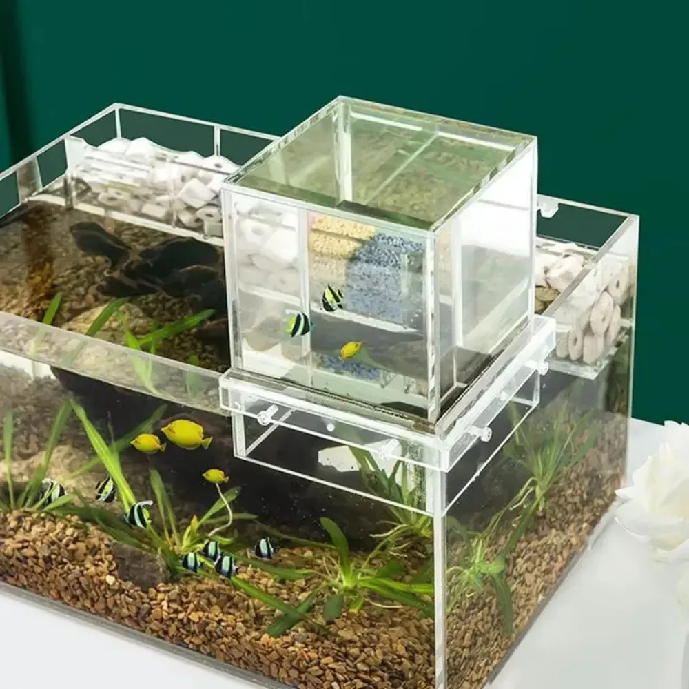 kf-S71c70d440cc6432eb974c87a47bda3eb5 Landscaping Negative Pressure Fish Tank - Unique Eye-catching Acrylic Suspended Fish Tank - Image 1