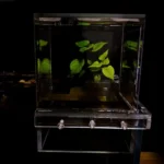 Landscaping Negative Pressure Fish Tank - Unique Eye-catching Acrylic Suspended Fish Tank - Image 5